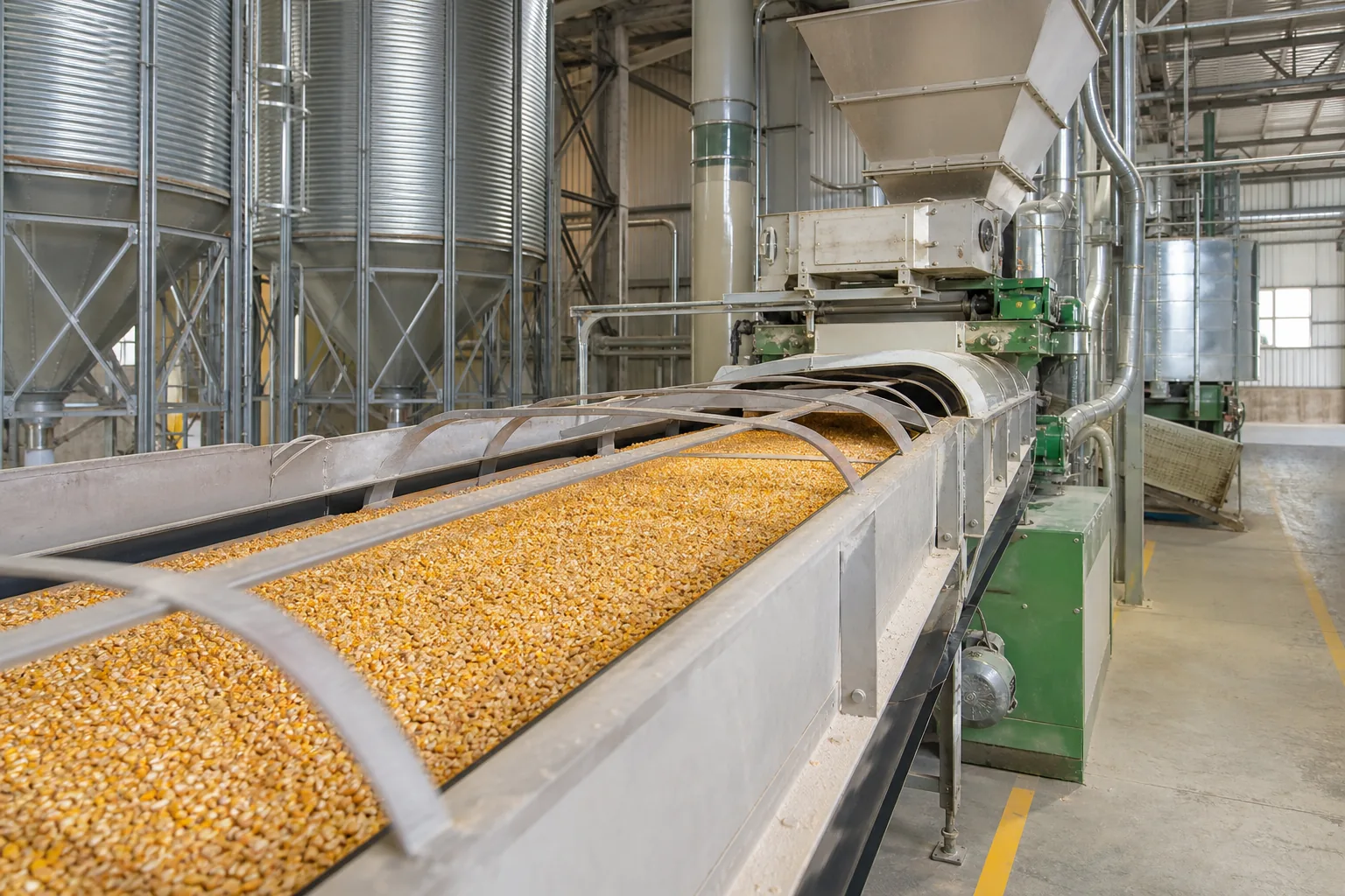 Agriculture et alimentation animale